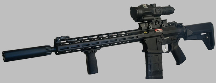 "Platypus" AA Custom SR-25 AEG