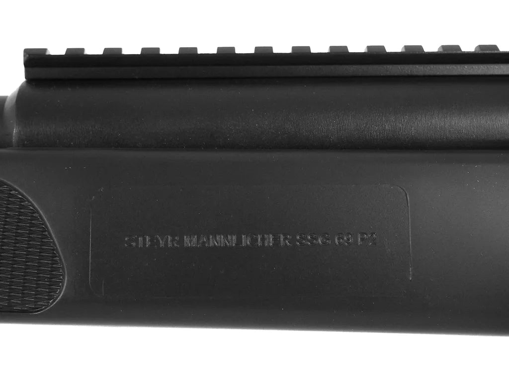 Steyr SSG 69 P2, Spring, Black