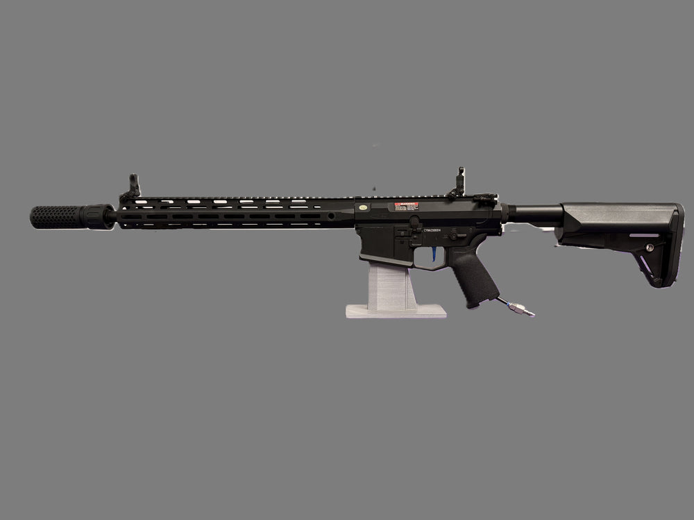 "Lancelot" AA Custom SR-25 HPA